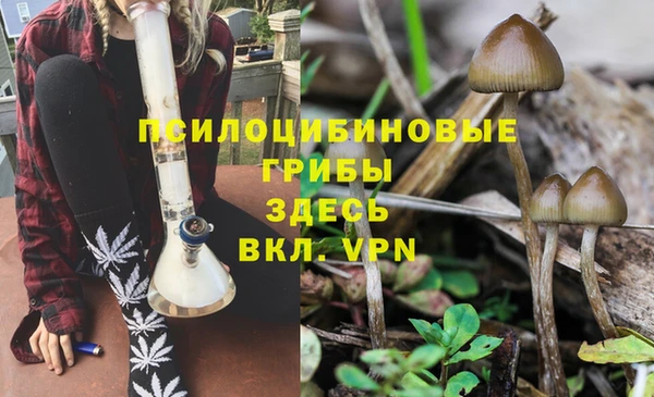 МДМА Пересвет