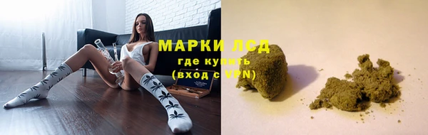 ГАЛЛЮЦИНОГЕННЫЕ ГРИБЫ Пестово
