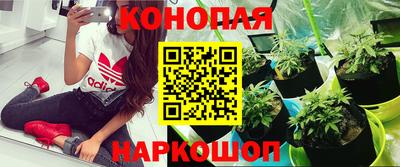 альфа пвп Волжск