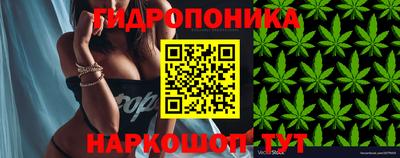 apvp Волжский