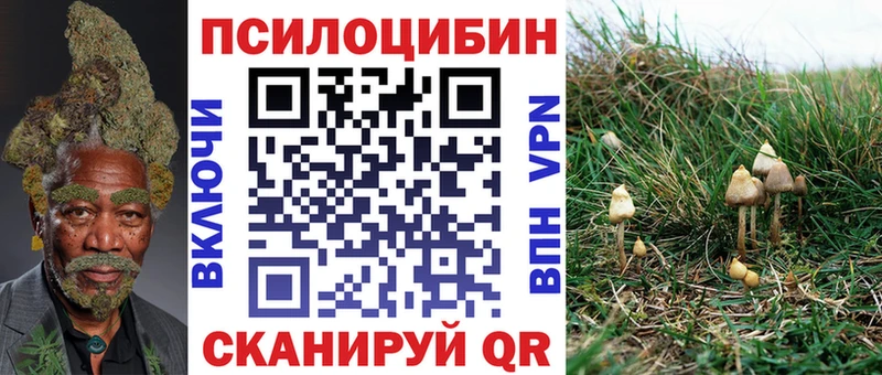 Псилоцибиновые грибы MAGIC MUSHROOMS  наркотики  Кумертау 